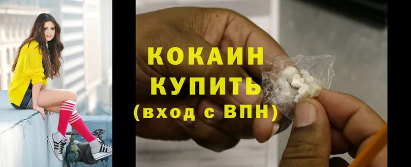 Cocaine Fish Scale  где найти наркотики  Сорск 